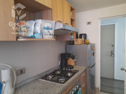 20250407_135355_600px