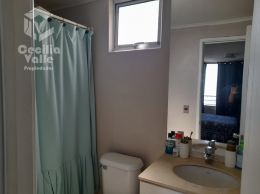 20250407_135607_600px